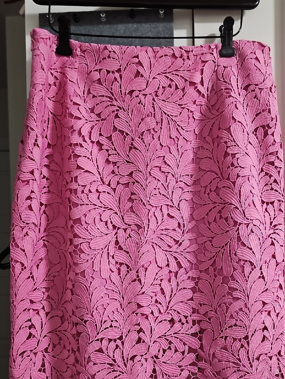 Women's Pink Lace A-Line Skirt